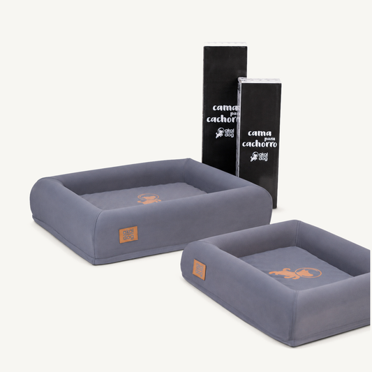 Cama Akol Dog