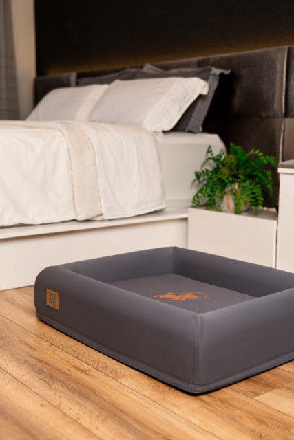 Cama Akol Dog