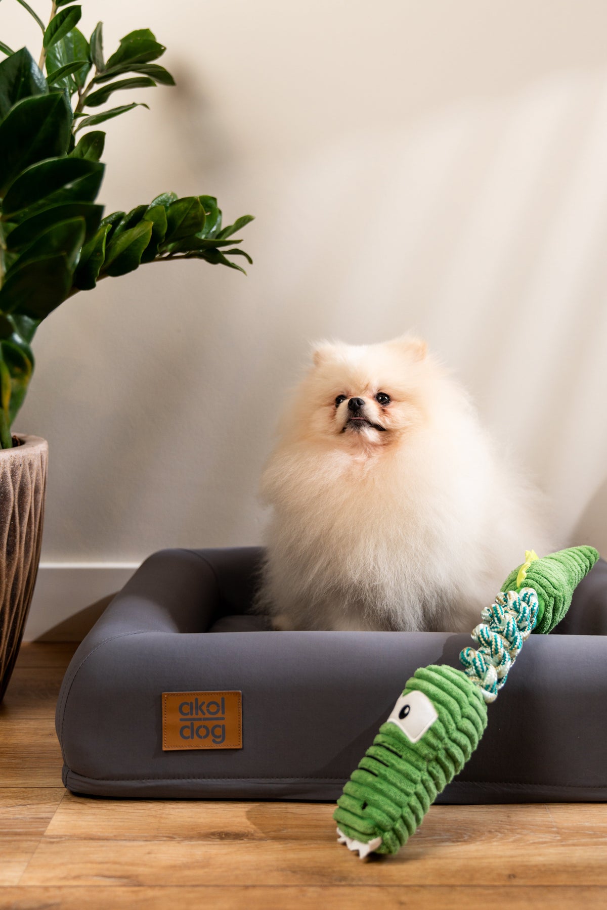 Brinquedo de Pelúcia – Crocodilo para Cães
